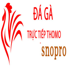 dagasnopro's picture dagasnopro's picture