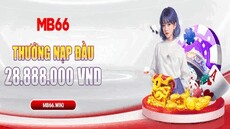 mb66cocom0's picture mb66cocom0's picture