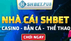 shbetpub's picture shbetpub's picture
