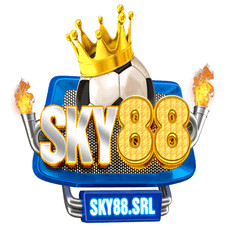 sky88srl's picture sky88srl's picture