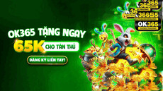 Ok365trading's picture