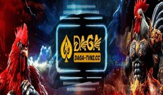 dagatvn2cc's picture