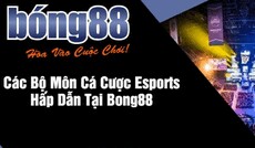 bong8868live's picture bong8868live's picture