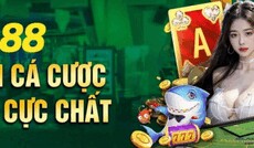 fb888baby's picture fb888baby's picture