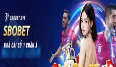 sbobetdiy's picture sbobetdiy's picture