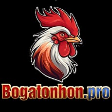 bogatonhonpro's picture
