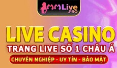 mmlivepro1's picture