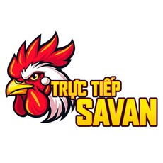 dagastroudsaddlery's picture