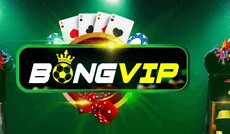 bongviptel's picture