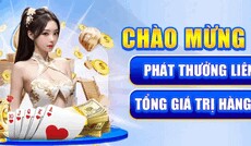 vin7771in's picture vin7771in's picture