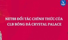 net88pamcom's picture net88pamcom's picture