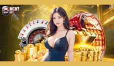 nhacaiuytinrsvp's picture nhacaiuytinrsvp's picture