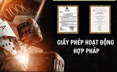 trangcadobongdadesign's picture