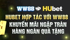 hubetingcom's picture