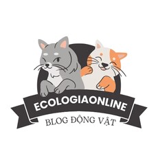 ecologiaonline's picture ecologiaonline's picture