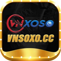 vnsoxocc's picture