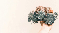 sendadalatstore's picture