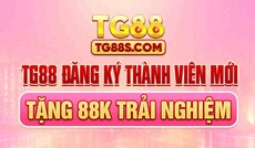 tg88scom's picture tg88scom's picture