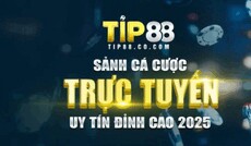 tip88cocom1's picture tip88cocom1's picture