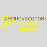 dagaamerican's picture