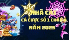 vipwinmarketing's picture vipwinmarketing's picture