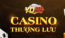 yo88observer's picture