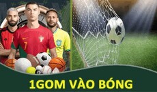 1gomagency's picture