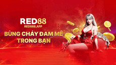 red888app's picture
