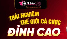 keonhacai88pub's picture keonhacai88pub's picture