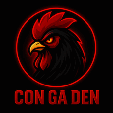 xemdagacohd's picture