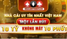 nhacaiuytinhotcfd's picture nhacaiuytinhotcfd's picture