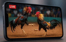 dagatructiepforum's picture dagatructiepforum's picture