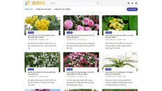 butterscotchblankeesdealscom's picture