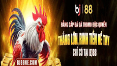 bj88necom's picture bj88necom's picture