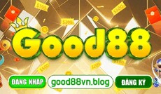good88vnblog's picture