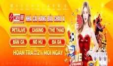 miso88eorg's picture miso88eorg's picture