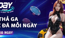 8daypro2's picture 8daypro2's picture