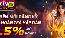 xin88pink's picture xin88pink's picture