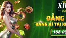 xin88earth's picture xin88earth's picture