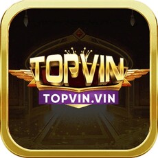 topvinvin1's picture topvinvin1's picture