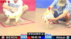 webdagathomocom's picture