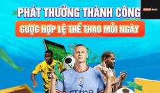 bongdaluclub's picture