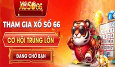 xoso66decom's picture