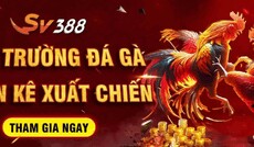 sv388press's picture sv388press's picture