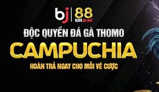 bj88jpnet's picture bj88jpnet's picture