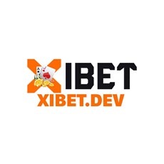 xibetdev's picture
