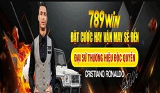 789winvndesign's picture 789winvndesign's picture