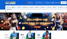 siu88usorg's picture