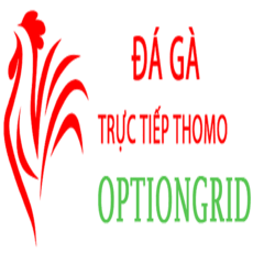 dagaoption's picture dagaoption's picture