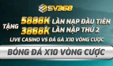 ssv368com1's picture ssv368com1's picture